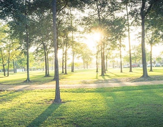 Aurinkoinen päivä puistossa